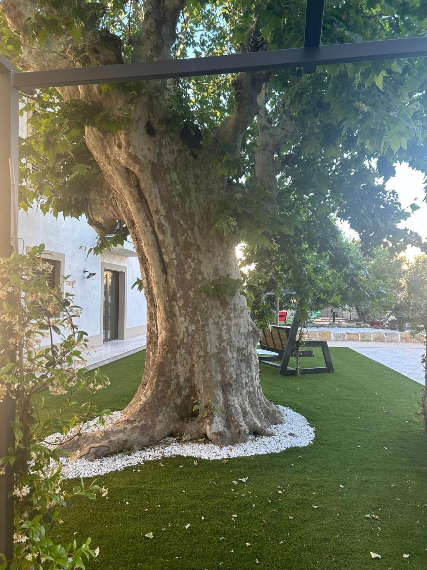 Les Marronniers Bed & Breakfast Lavérune Dış mekan fotoğraf